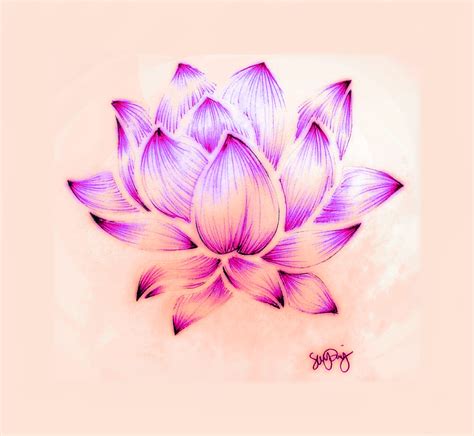 Lotus Flower Drawing - Sara Riley | Flower drawing, Lotus flower ...