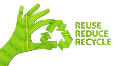 Does recycling help the environment? How do recycling bins help the ...