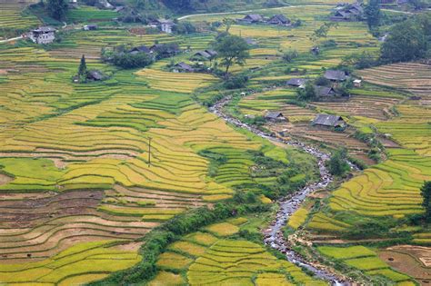 Sapa Vietnam, terraced rice fields | Stock Photos ~ Creative Market