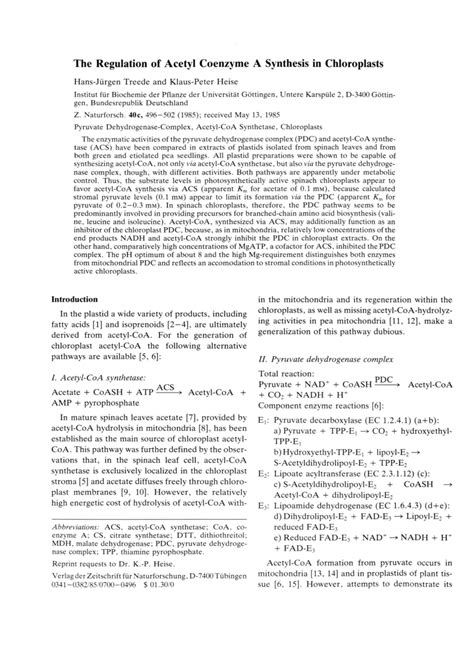 (PDF) The Regulation of Acetyl Coenzyme A Synthesis in Chloroplasts