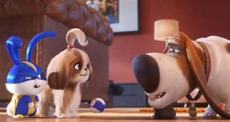 ‘The Secret Life of Pets 2’ Review: A Silly and Sweet Sequel | IndieWire