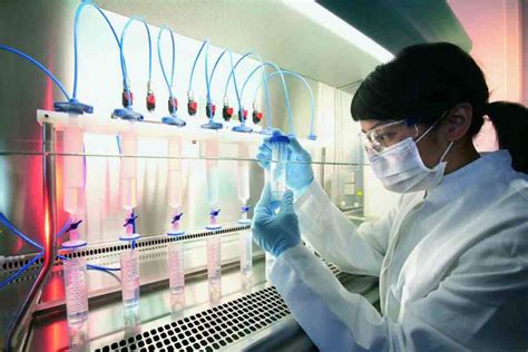 Research Report : Biotechnology Companies of India - IIPTA