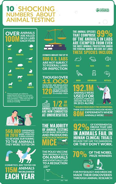 55 Powerful Animal Testing Statistics - We're All About Pets