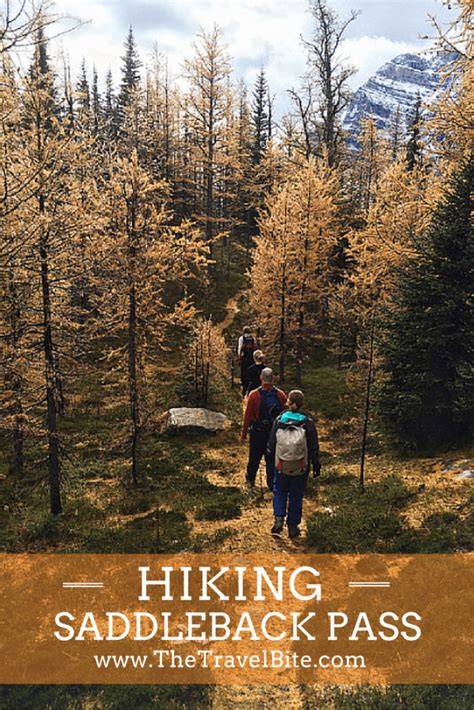 Hiking Trails From Lake Louise | Adventure Outdoor