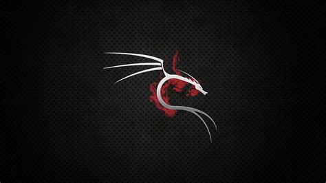 🔥 [45+] Kali Linux Wallpapers | WallpaperSafari