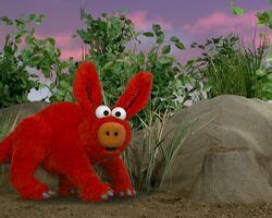 Elmo's World: Wild Animals | Muppet Wiki | FANDOM powered by Wikia