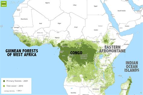 Rainforest In Africa Map Africa Map | Images and Photos finder