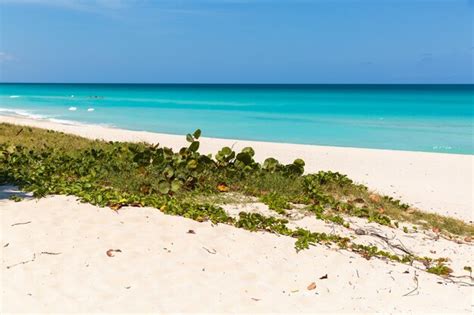 Premium Photo | Varadero beach