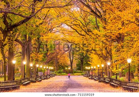 15,566 Central Park Fall Foliage Images, Stock Photos & Vectors ...