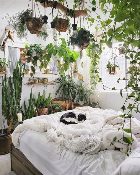 Bringing nature to your room | Bedroom plants decor, Room ideas bedroom ...