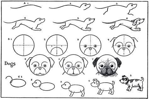 Kids Printable - Draw Some Dogs - Pug - Dachshund - The Graphics Fairy