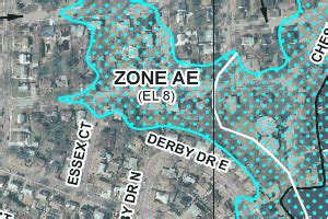 Second Look Flood | Accurate & Affordable FEMA Flood Zones Maps