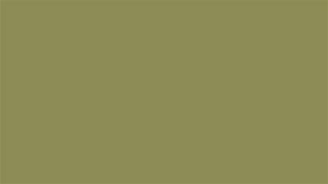 Pantone 17-0535 Tcx Green Olive Color | Hex color Code #8D8B55 ...