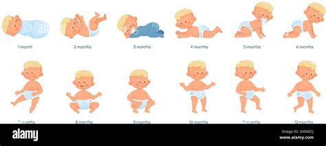 Baby growth stages, development process from newborn to toddler. Baby ...