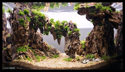 Image result for dragon stone aquascape | Aquarium landscape, Aquascape ...