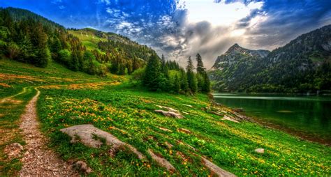 nature, Landscape, Lake, Mountain, Forest, Wildflowers, Spring, Pine ...