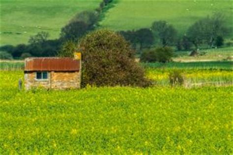 Appledore, Kent - History, Travel, and accommodation information