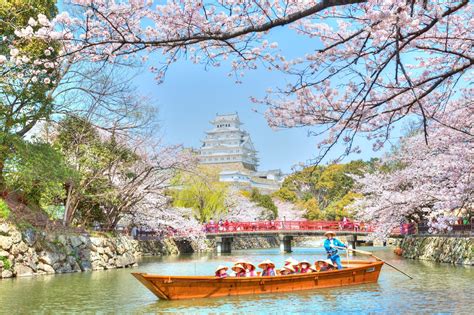 Khám phá Kyoto những địa điểm ngắm hoa anh đào đẹp ở kyoto trong mùa ...