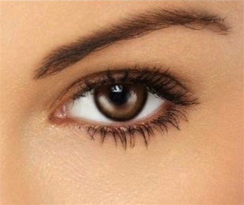 natural makeup: NEW 690 NATURAL MAKEUP BROWN EYES