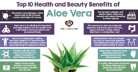 Top 10 Health and Beauty Benefits of Aloe Vera - Live Love Fruit