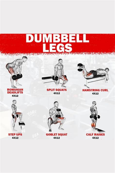 Dumbbell legs workout in 2023 | Dumbbell workout, Dumbbell leg workout ...