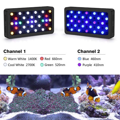 🥇 10 Best Reef LED Lights Reviews (Side by Side Comparison) | Led ...