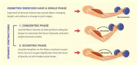 What are isometric exercises - sanyant