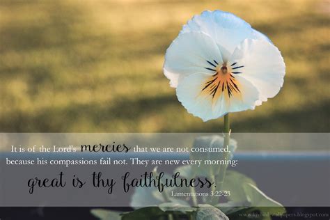 KJV Bible Wallpapers: Great is Thy Faithfulness - Lamentations 3:22-23