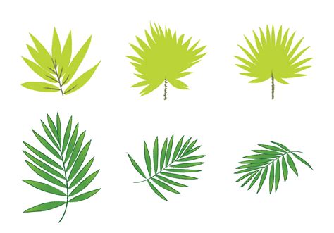 Free Palm Leaf Vectors - Download Free Vector Art, Stock Graphics & Images