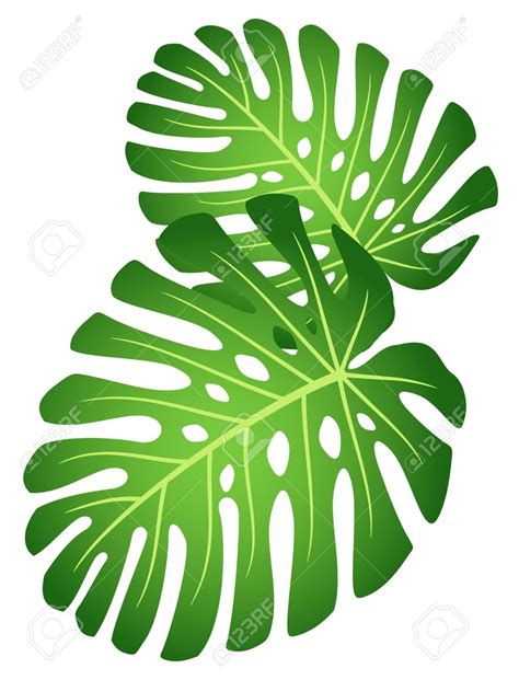 rainforest plants clipart 10 free Cliparts | Download images on ...