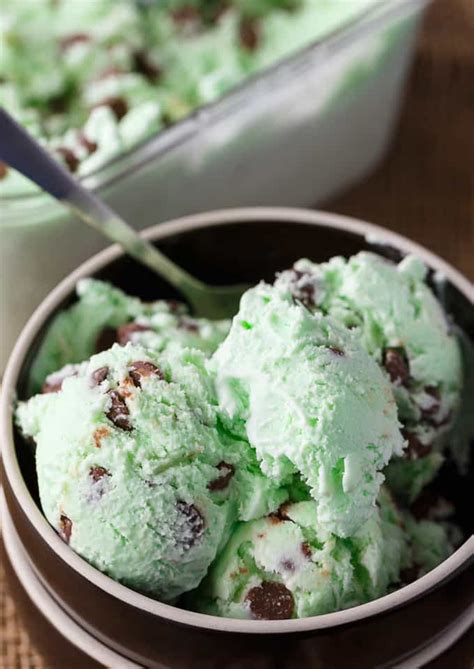 Mint Chocolate Chip Ice Cream - Simply Stacie