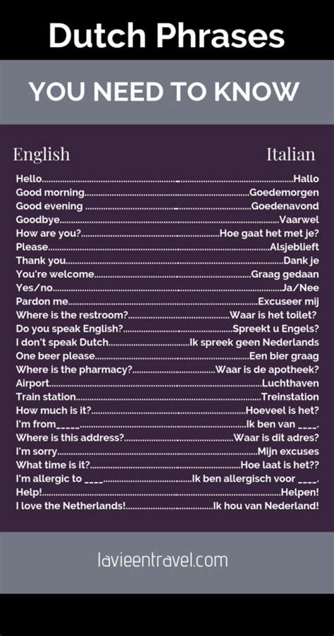 25 Basic Dutch Phrases to use in the The Netherlands - La Vie en Travel