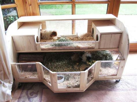 8 best Guinea Pig Cages & Custom Cavy Builds images on Pinterest | Cavy ...