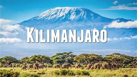 Mount Kilimanjaro Summit Challenge – Travel Medals