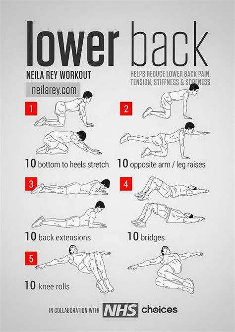 21 best Low Back Pain Exercises Patient Handout images on Pinterest ...