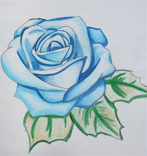 22+ pretty flower drawings - VardinSanae