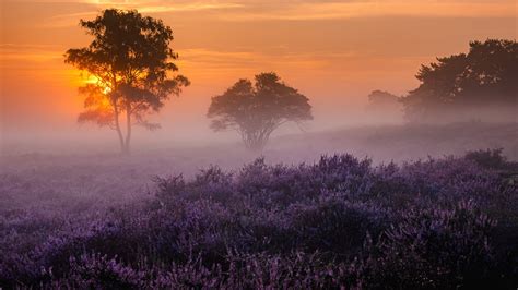 How To Photograph Fog: Equipment, Settings and Composition