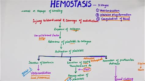 Hemostasis | Easy Flowchart | Physiology - YouTube