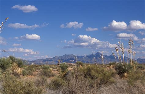 NMSU Climate Talk Looks at Landscape Changes in Chihuahuan Desert | KRWG