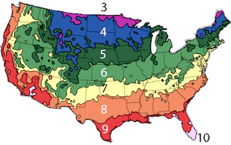 Find your USDA Hardiness Zone w/ ZIP Code | Cold hardy palm trees ...