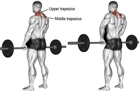 shoulder shrug workout > OFF-73%