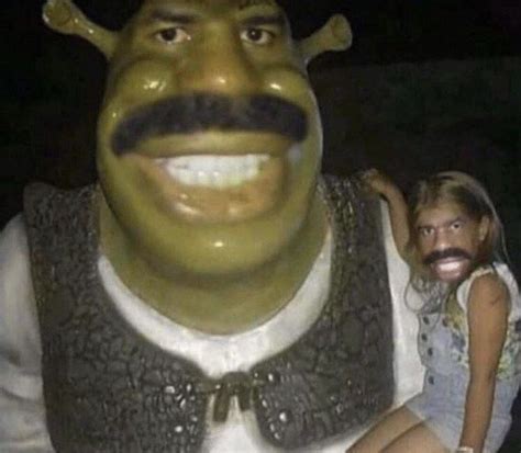 𝐌𝐄𝐌𝐄𝐒 𝐓𝐎 𝐔𝐒𝐄 𝐈𝐍 𝐀 𝐂𝐎𝐍𝐕𝐄𝐑𝐒𝐀𝐓𝐈𝐎𝐍 | Really funny pictures, Shrek, Funny ...