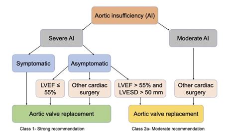 Aortic Regurgitation Pathophysiology