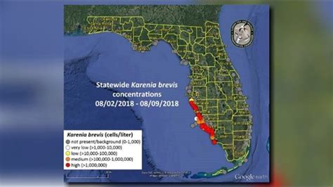 FWC releases new red tide map, reports respiratory irritation on ...