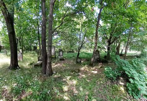 Grodzisk Mazowiecki Jewish Cemetery - ESJF surveys