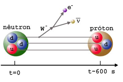 What are Leptons | Definition, Types & Properties | nuclear-power.com