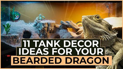 Bearded Dragon Tank Decor [Top 11 Ideas] - YouTube