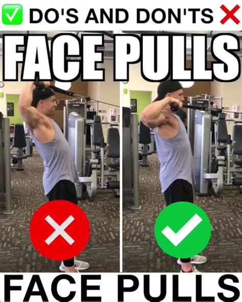 Face Pulls Proper Form | Video & Guide