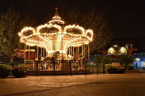 Carousel at Night in 2024 | Carousel, Carousel horses, Night