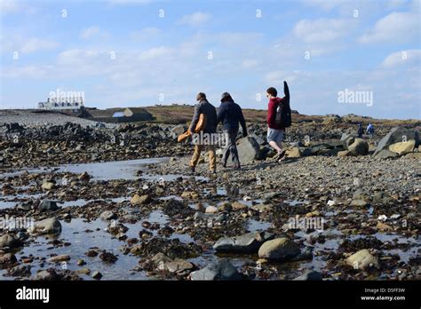 visitors cross the causeway between Guernsey and Lihou Island Stock ...